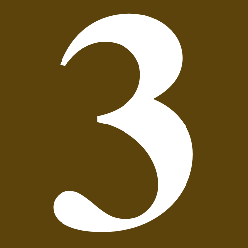 3 3