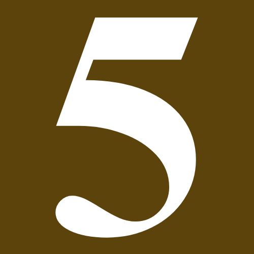5 5